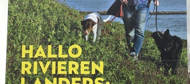 Verkiezing waterschap Rvlnd.jpg